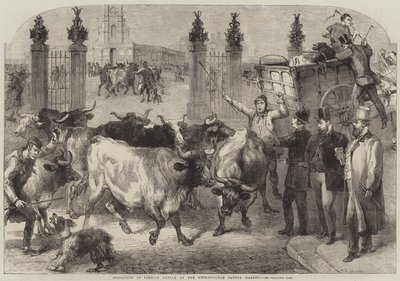 Inspection of Foreign Cattle at the Metropolitan Cattle Market by Harden Sidney Melville